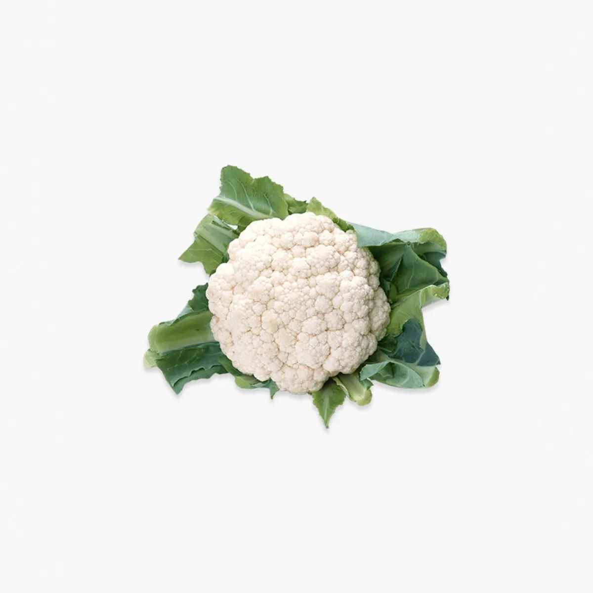 Fresh Cauliflower